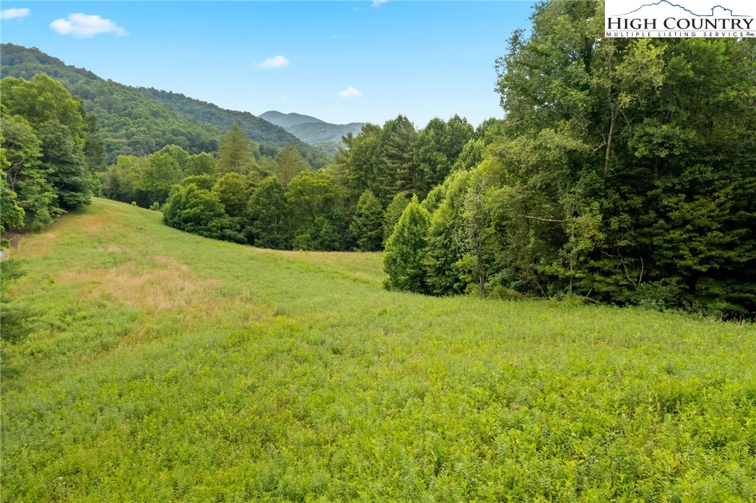 Sugar Grove, North Carolina 28679, United States, ,Land,Pending,50317