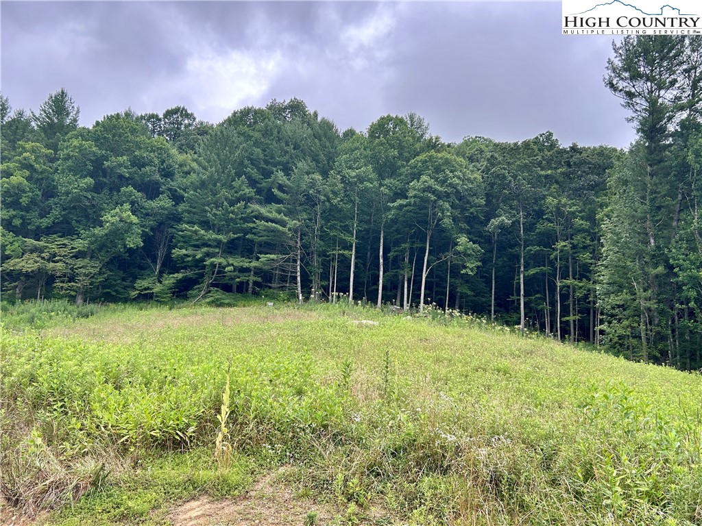 Sugar Grove, North Carolina 28679, United States, ,Land,Pending,50317