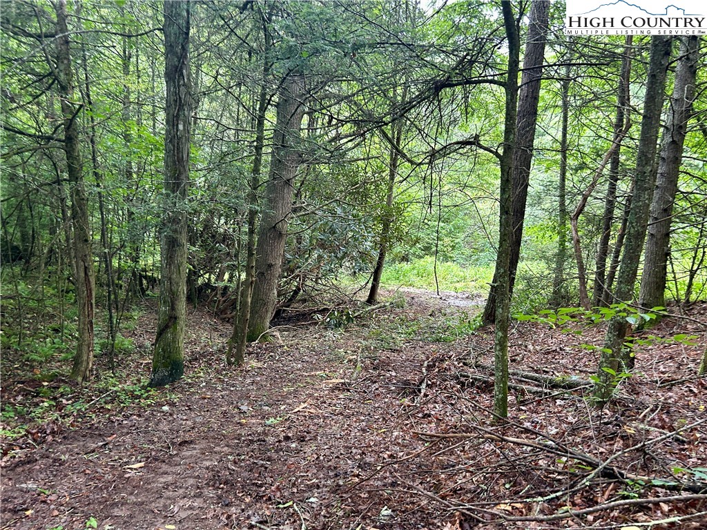 Sugar Grove, North Carolina 28679, United States, ,Land,Pending,50317