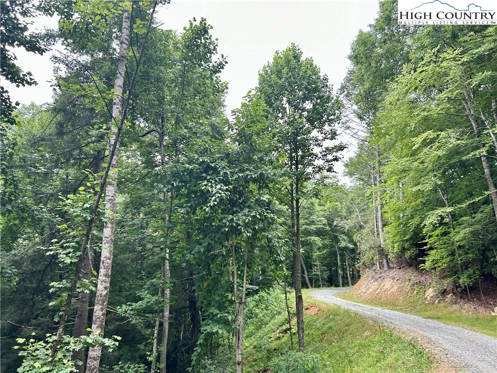 Sugar Grove, North Carolina 28679, United States, ,Land,Pending,50317