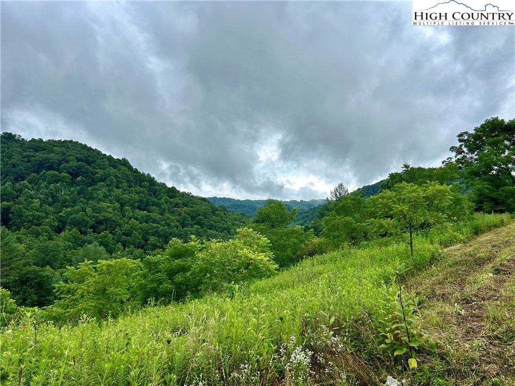 Sugar Grove, North Carolina 28679, United States, ,Land,Pending,50317