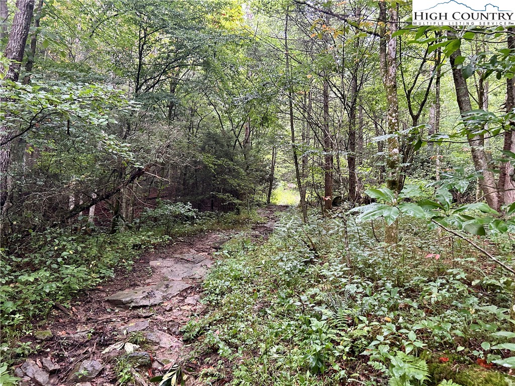 Sugar Grove, North Carolina 28679, United States, ,Land,Pending,50317