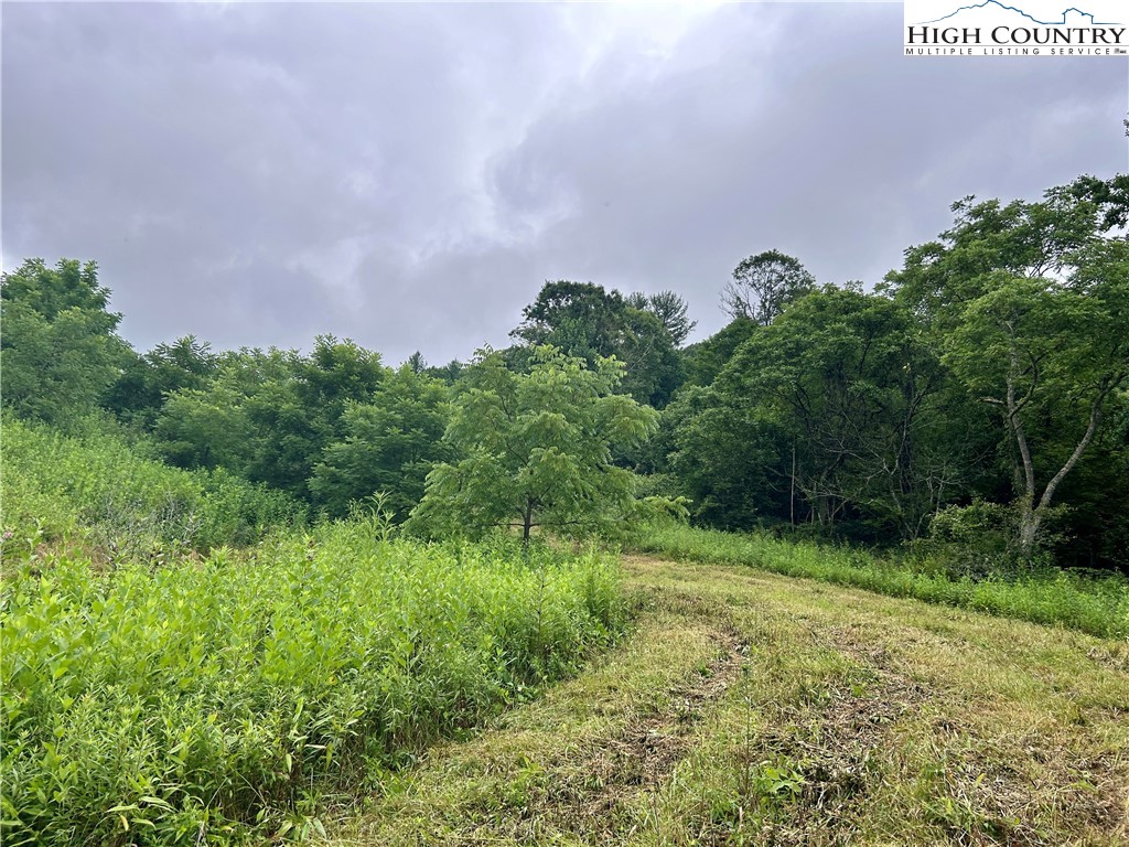 Sugar Grove, North Carolina 28679, United States, ,Land,Pending,50317