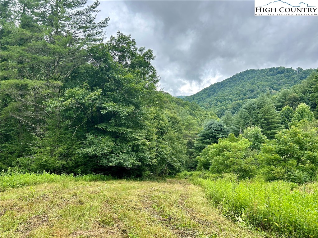 Sugar Grove, North Carolina 28679, United States, ,Land,Pending,50317