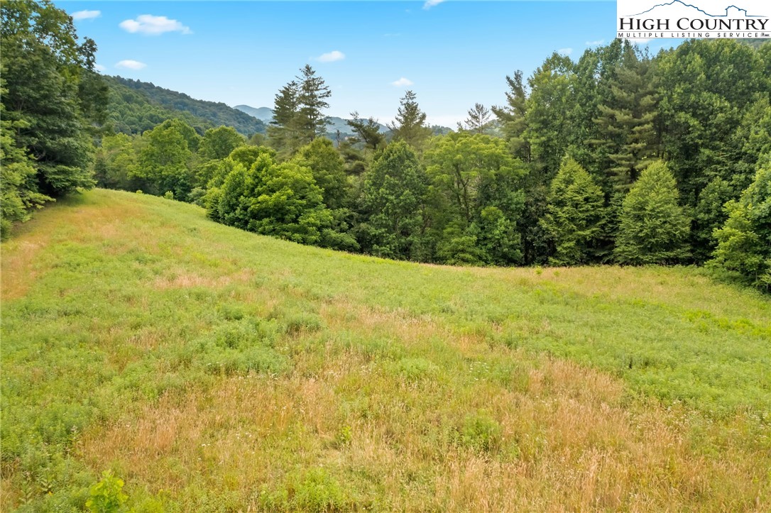 Sugar Grove, North Carolina 28679, United States, ,Land,Pending,50317