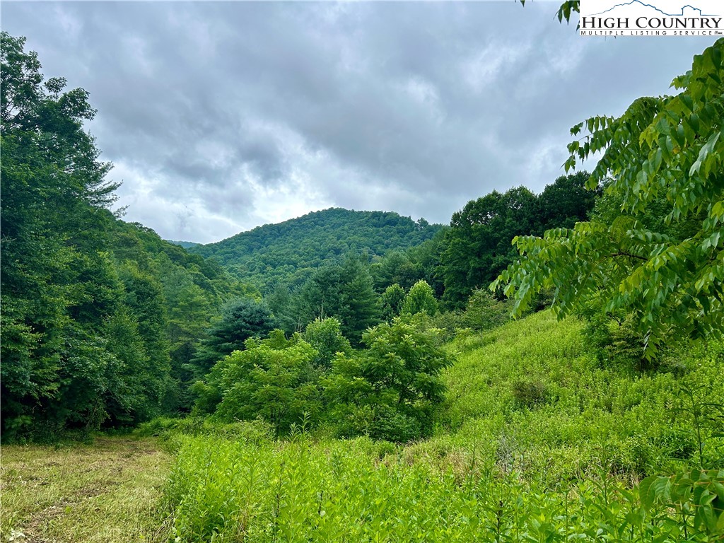 Sugar Grove, North Carolina 28679, United States, ,Land,Pending,50317