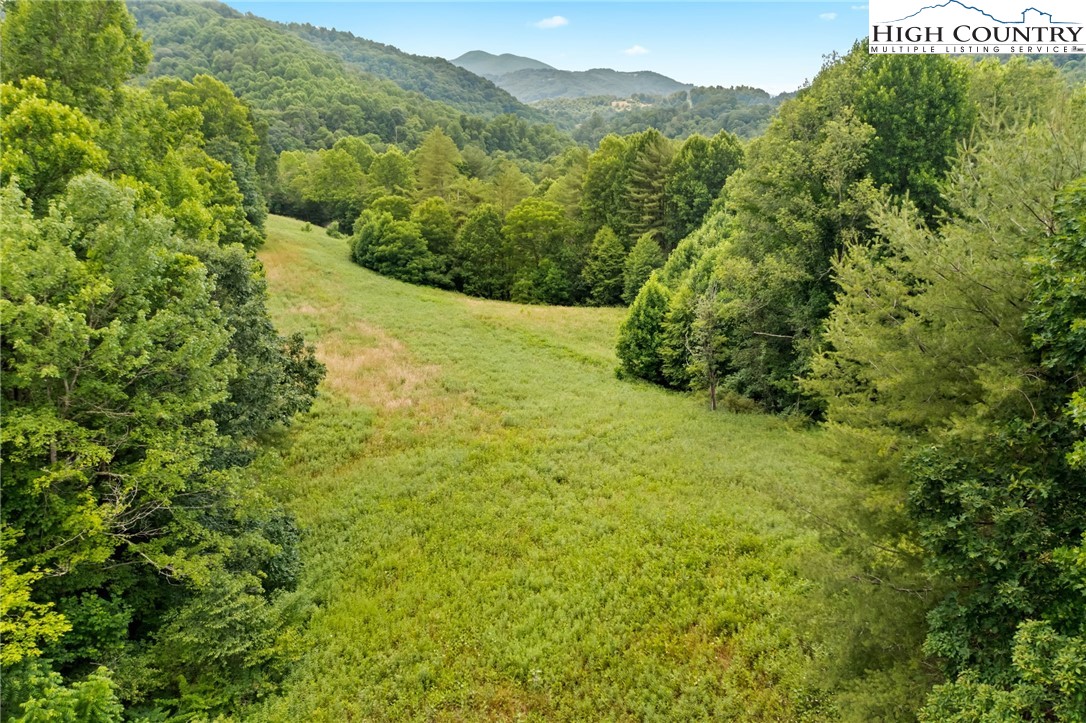 Sugar Grove, North Carolina 28679, United States, ,Land,Pending,50317