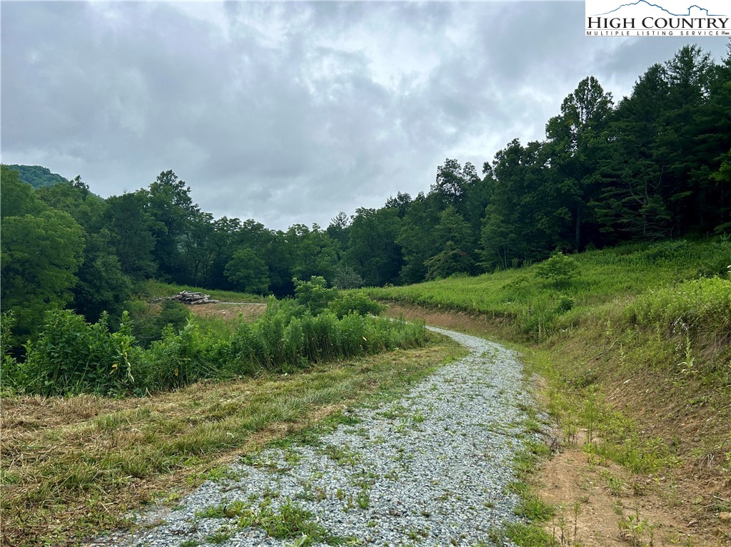 Sugar Grove, North Carolina 28679, United States, ,Land,Pending,50317