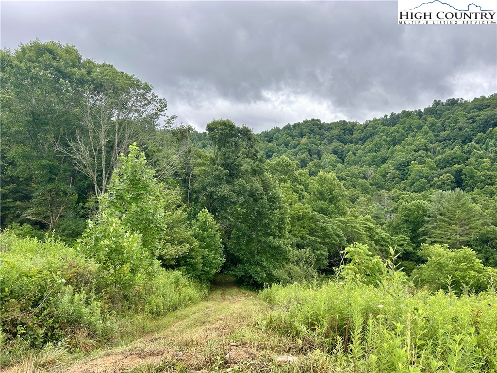 Sugar Grove, North Carolina 28679, United States, ,Land,Pending,50317