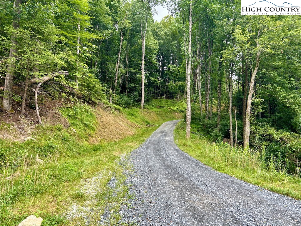 Sugar Grove, North Carolina 28679, United States, ,Land,Pending,50317