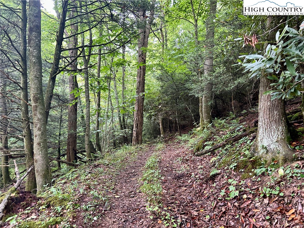 Sugar Grove, North Carolina 28679, United States, ,Land,Pending,50317