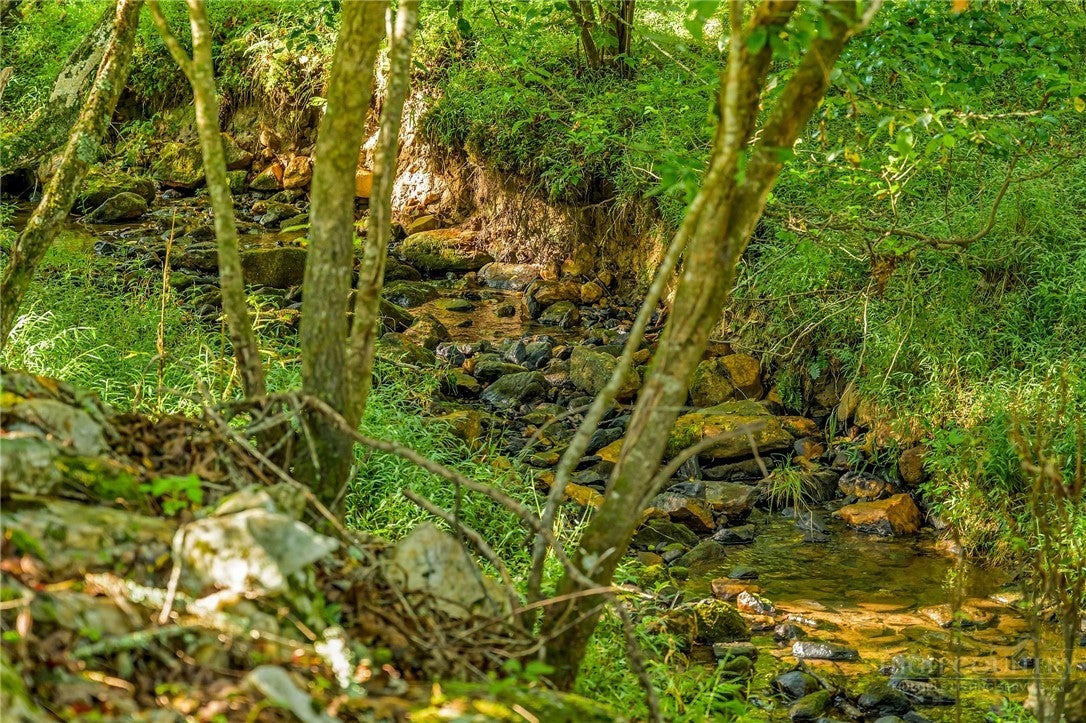 TBD - Lot 40 CREEK Court