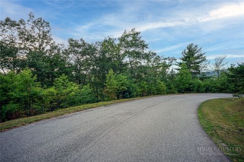 Photo of 352 Pepperroot Road, Boone, NC 28607 (MLS # 262088)
