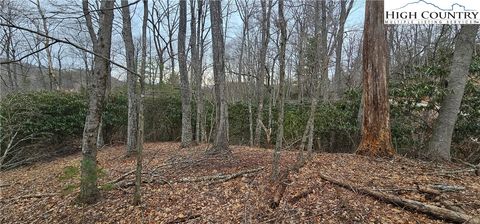 Photo of Lot 3 Raven Rock Drive, Boone, NC 28607 (MLS # 259251)