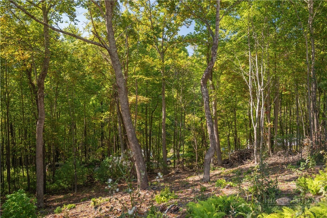 Lot 137 Angelfire Trail