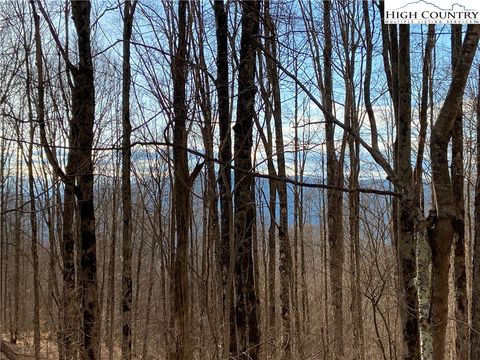 Photo of Lot 17 Harley Perry Road, Zionville, NC 28698 (MLS # 244531)