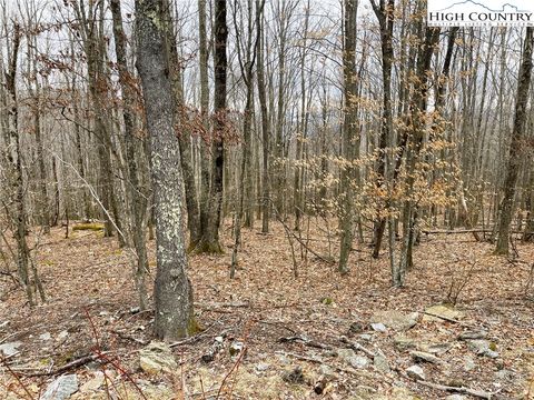 Photo of 222 Wild Daisy Lane Ln, Beech Mountain, NC 28604 (MLS # 254213)