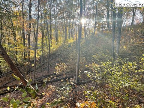 Photo of lot 74 Carefree Cove Road, Zionville, NC 28698 (MLS # 240351)