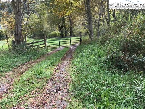 Photo of TBD Big Laurel Road, Creston, NC 28615 (MLS # 257236)