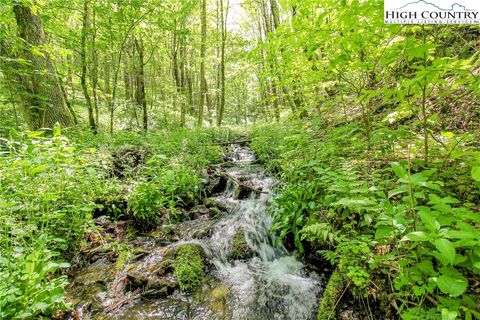Photo of 2.5 acres Apple Valley Road, Zionville, NC 28698 (MLS # 243382)