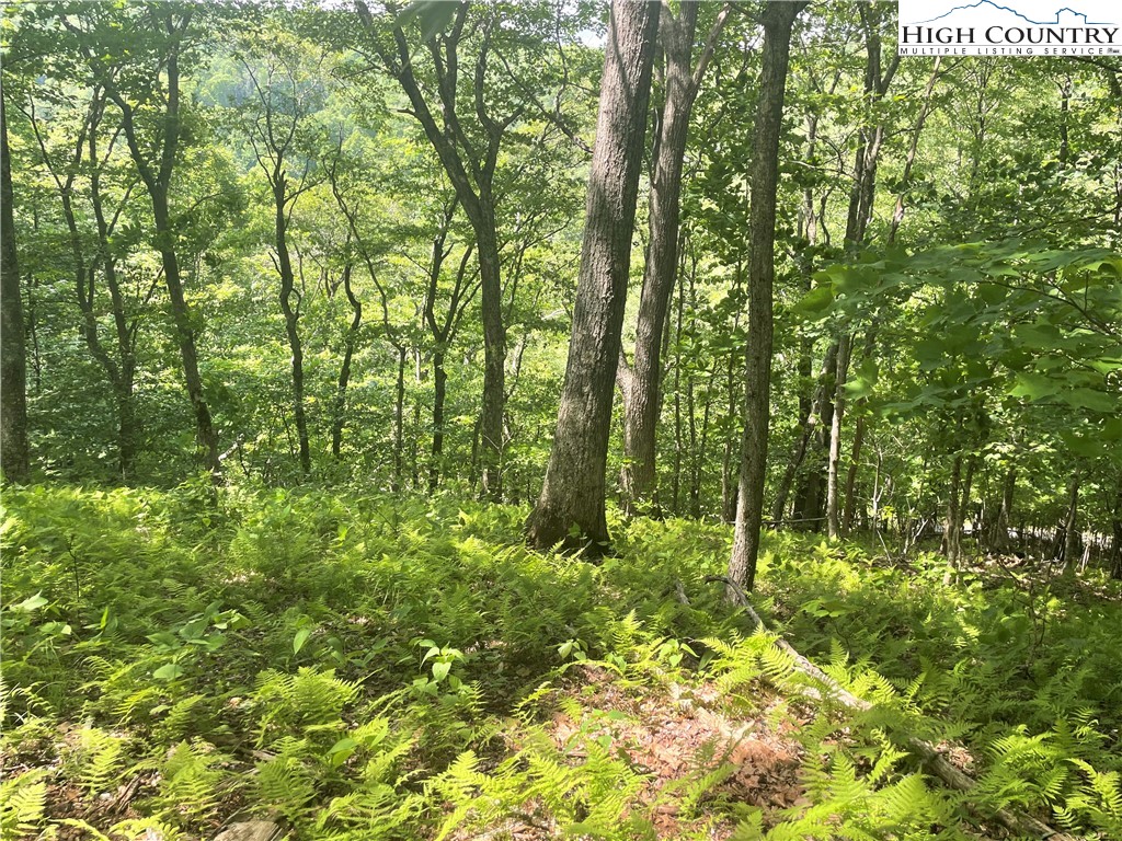 Boone, North Carolina 28607, United States, ,Land,Active,72534