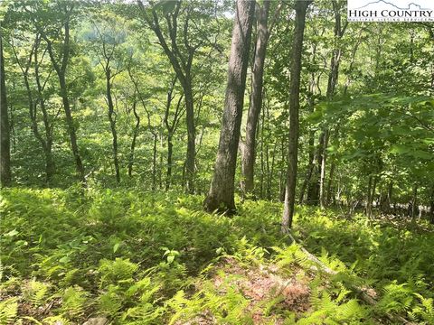 Photo of Lot 66 Bob Timberlake Drive, Boone, NC 28607 (MLS # 243939)