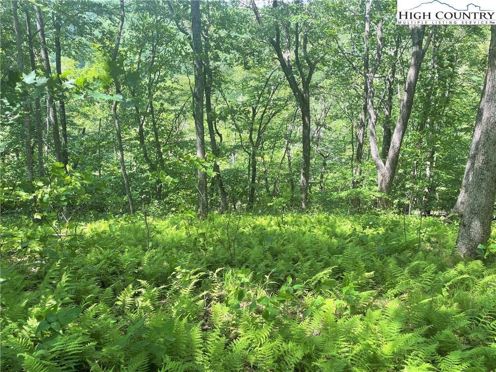 Boone, North Carolina 28607, United States, ,Land,Active,72534