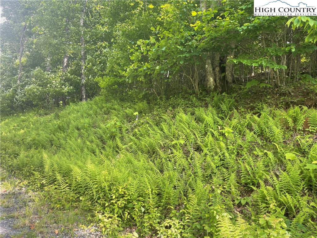 Boone, North Carolina 28607, United States, ,Land,Active,72534