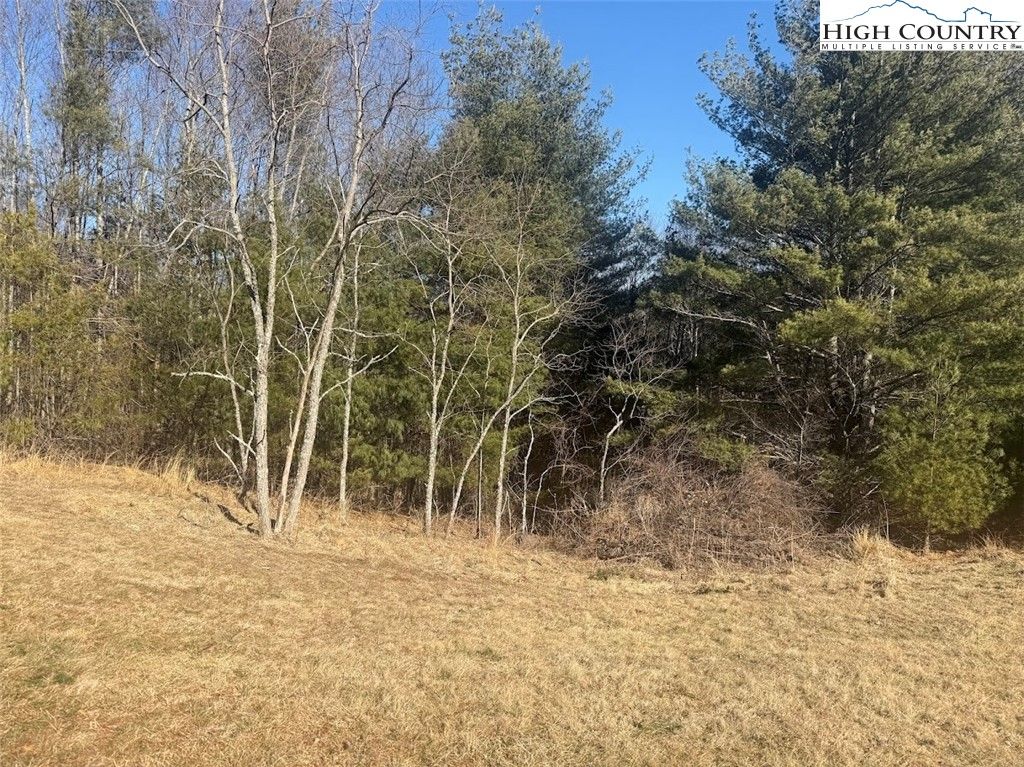 Photo of TBD Lower Springs Drive, Jefferson, NC 28640 (MLS # 259994)