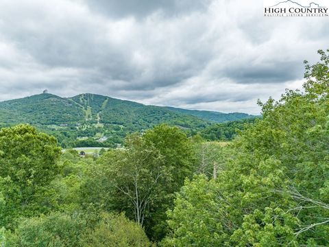 Photo of 197 Arnett Road, Banner Elk, NC 28604 (MLS # 244913)