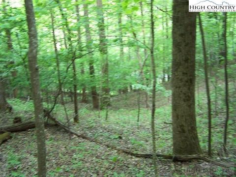 Photo of Tbd Powder Horn Mountain Road #N/A, Deep Gap, NC 28618 (MLS # 256679)