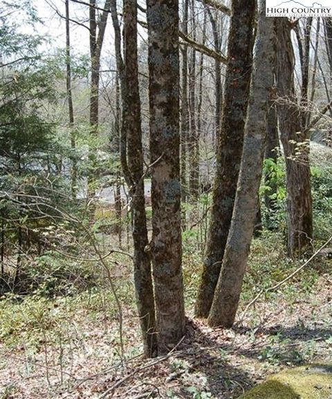 Photo of 439 Locust Road, Newland, NC 28657 (MLS # 258247)