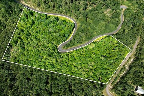 Photo of Lot 12 Callalantee Drive, Mountain City, TN 37683 (MLS # 262596)