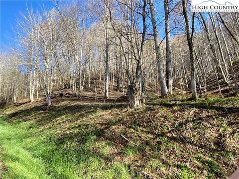 Photo of 14842 NC 226 N Highway, Bakersville, NC 28705 (MLS # 248962)