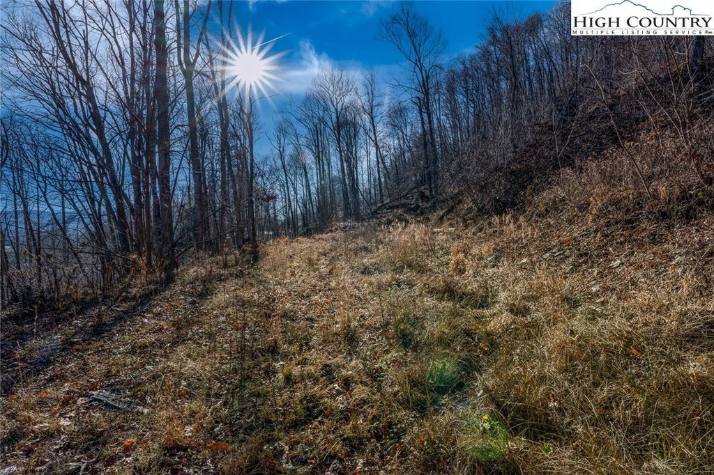 Photo of TBD Stacy Lane, Banner Elk, NC 28604 (MLS # 259301)