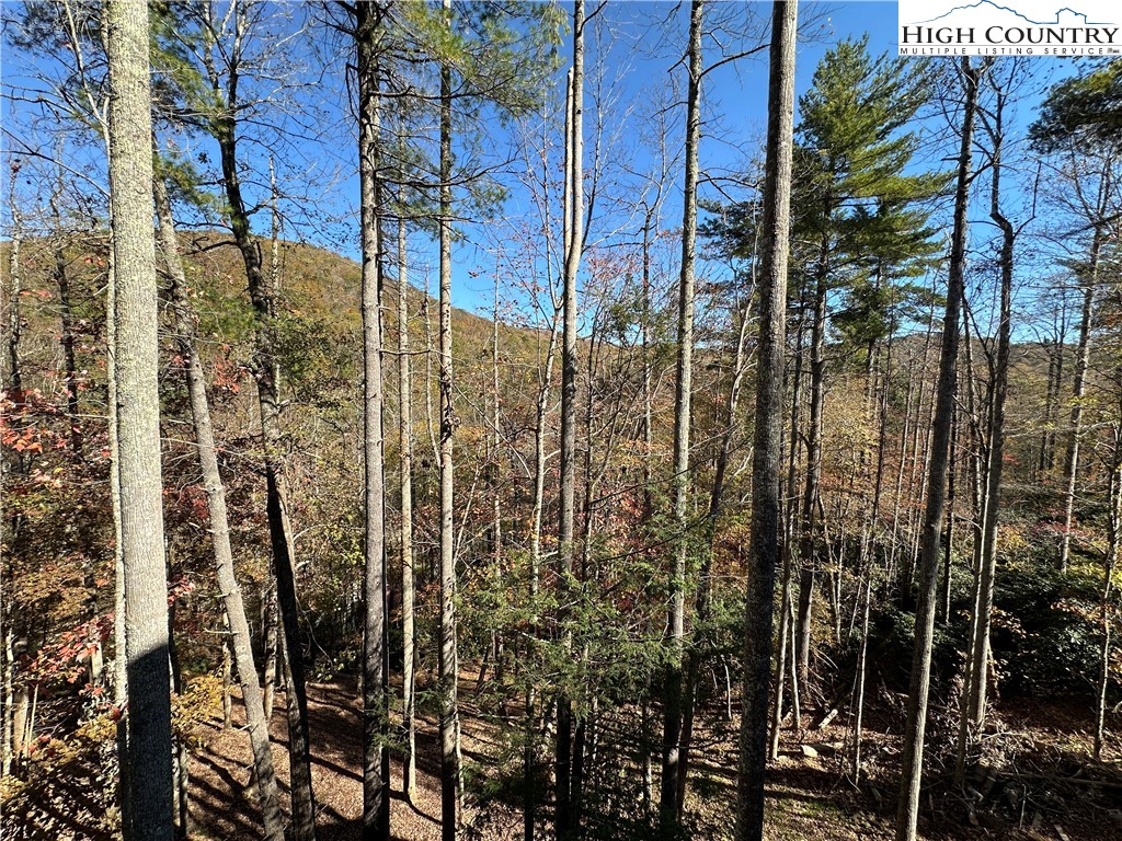 Blowing Rock, North Carolina 28605, United States, 4 Bedrooms Bedrooms, ,6 BathroomsBathrooms,Residential,Active,15561