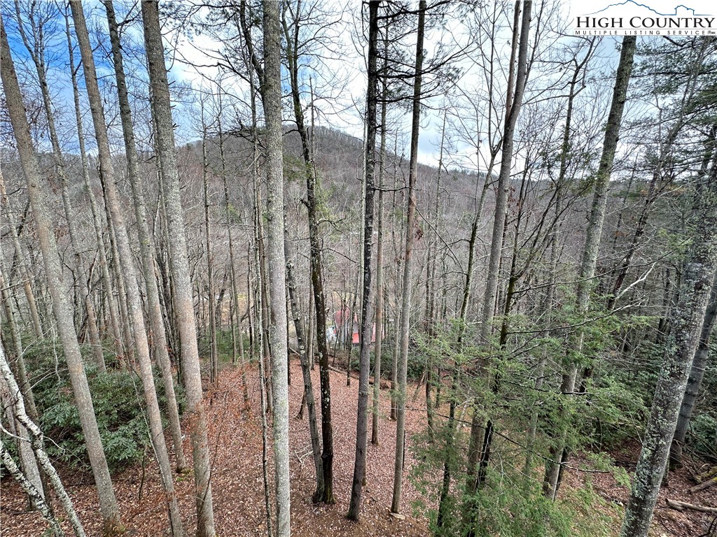 Blowing Rock, North Carolina 28605, United States, 4 Bedrooms Bedrooms, ,6 BathroomsBathrooms,Residential,Active,15561