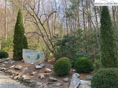 Photo of Lot 37 TBD Duggerfire Tower Road, Lenoir, NC 28645 (MLS # 248750)