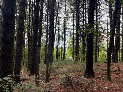 Photo of Lots 15-17 Friendly Lane, Ennice, NC 28623 (MLS # 263917)