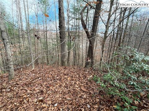 Photo of 3308 Valley Drive, Lenoir, NC 28645 (MLS # 257927) Photo of 3308 Valley Drive, Lenoir, NC 28645 (MLS # 257927)