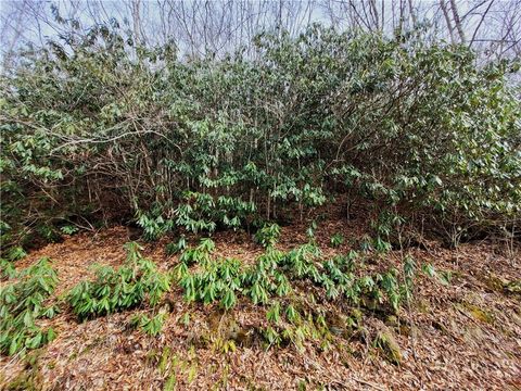 Photo of 118 Deergrass Road, Beech Mountain, NC 28604 (MLS # 261540)