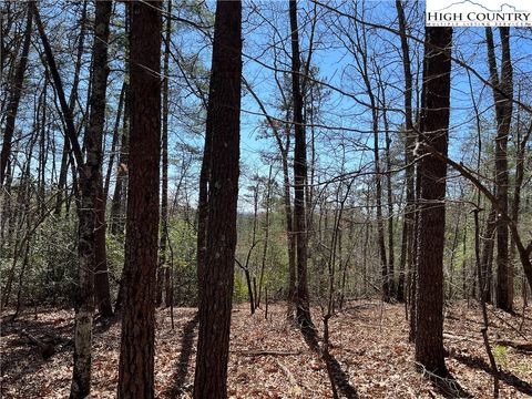 Photo of 2500 Playmore Beach Road, Lenoir, NC 28645 (MLS # 258486)
