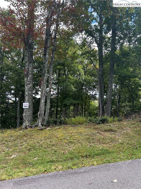 Photo of 405 Firethorn Trail, Blowing Rock, NC 28605 (MLS # 256729)