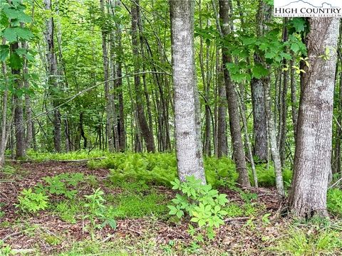 Vacant Land For Sale - LOT 20 Twin Bridges Circle<br/> Ashe County, Fleetwood, NC 28626