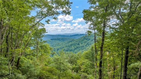 Vacant Land For Sale - TBD Blue Ridge Church Road<br/> West Jefferson, NC 28694