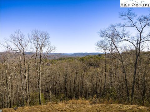 Photo of 273 Ninebark Road, Boone, NC 28607 (MLS # 241764)
