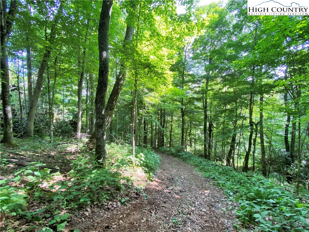 Boone, North Carolina 28607, United States, ,Land,Active,54058