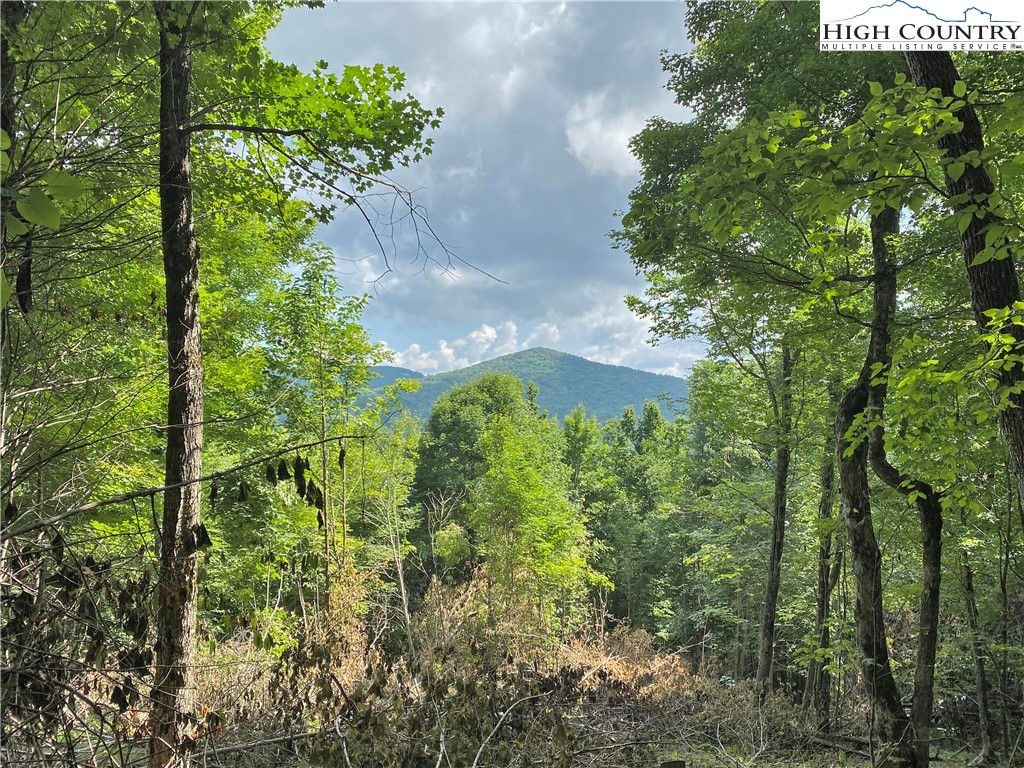 Boone, North Carolina 28607, United States, ,Land,Active,54058