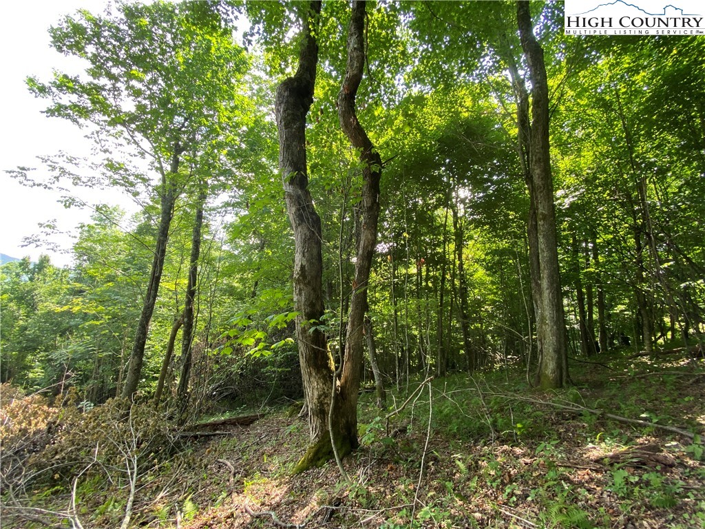 Boone, North Carolina 28607, United States, ,Land,Active,54058