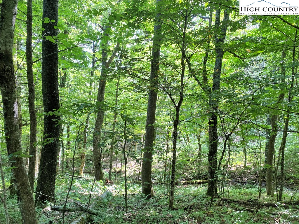 Boone, North Carolina 28607, United States, ,Land,Active,54058